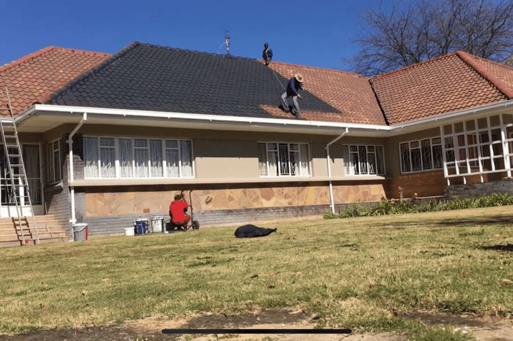 roof painting 1
